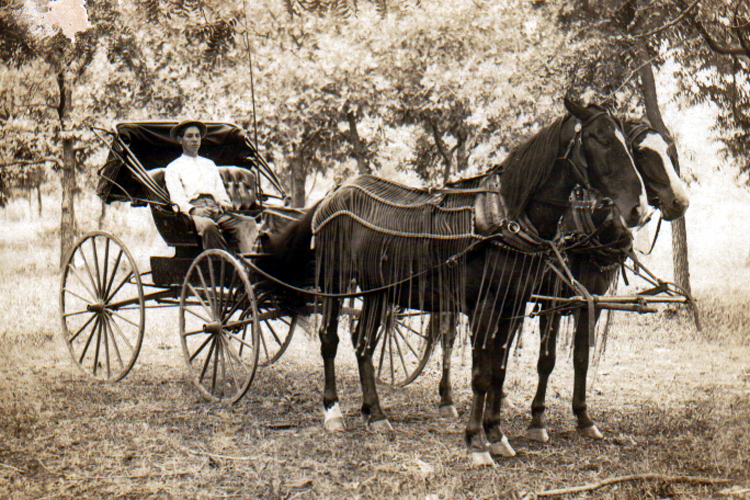 A horse and buggy, circa 1910, Oklahoma