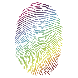 A beautifully colored fingerprint of a USA citizen