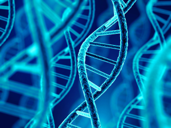 Strands of DNA from researchers in the USA