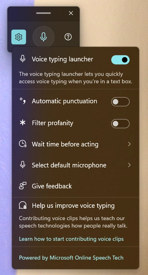 Windows System Dictation settings